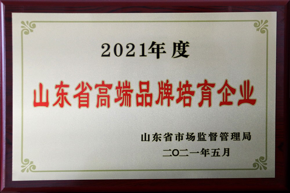 剎車片,剎車盤(pán),制動(dòng)鉗,制動(dòng)鉗總成